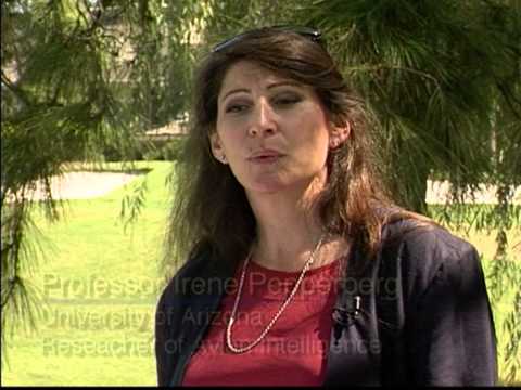 Load and play video in Gallery viewer, Harrison's Adult Lifetime Coarse Parrot Pellet