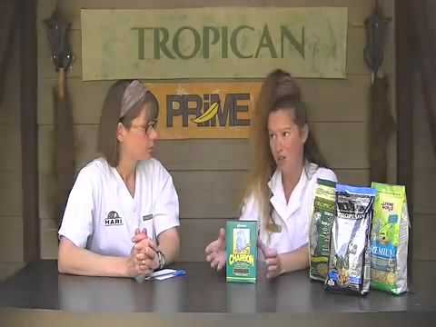 Load and play video in Gallery viewer, HARI Bird Charcoal For All Pet Birds - B2459