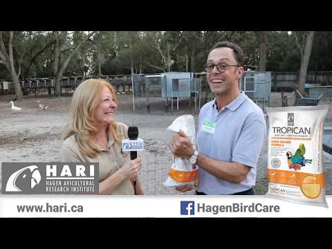 Load and play video in Gallery viewer, Tropican Hand-Feeding Formula - All Birds š