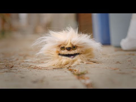 Load and play video in Gallery viewer, FURminator Undercoat deShedding Tool for Medium Dog With Short Hair