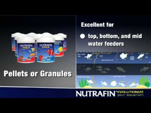 Load and play video in Gallery viewer, Waste Control - Biological Aquarium Cleaner