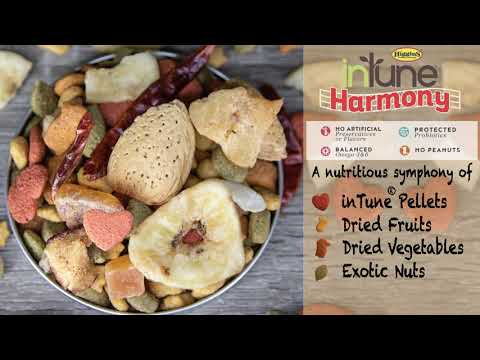 Load and play video in Gallery viewer, Higgins Intune Harmony Parrot Enrichment Diet