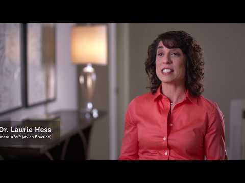 Load and play video in Gallery viewer, ZuPreem Sensible Seed Enrichment Mix for Medium Bird