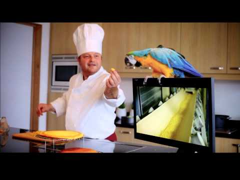 Load and play video in Gallery viewer, CéDé Premium Eggfood Moist Allround