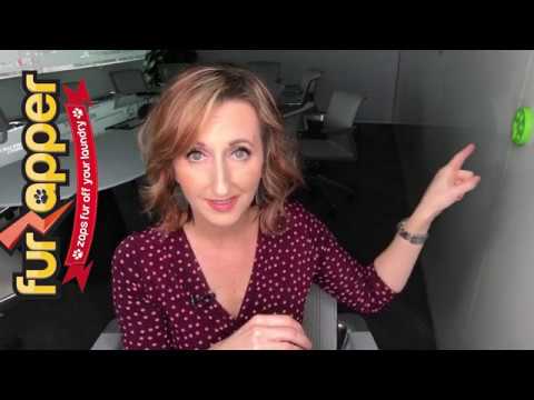 Load and play video in Gallery viewer, FurZapper Pet Hair Remover