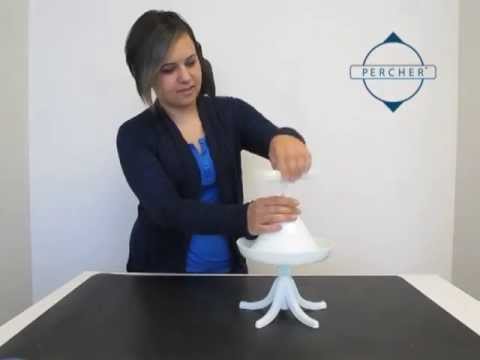 Load and play video in Gallery viewer, Featherland Paradise Percher Training Stand For Parrots and Parakeets