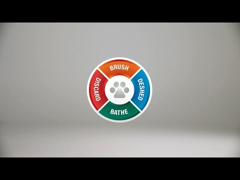 Load and play video in Gallery viewer, FURminator Undercoat deShedding Tool for Medium Dog With Short Hair