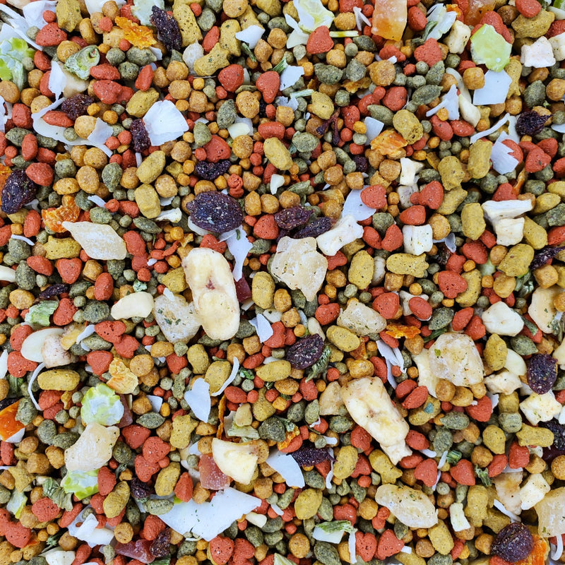 Load image into Gallery viewer, Higgins Intune Harmony Conure & Cockatiel Enrichment Diet