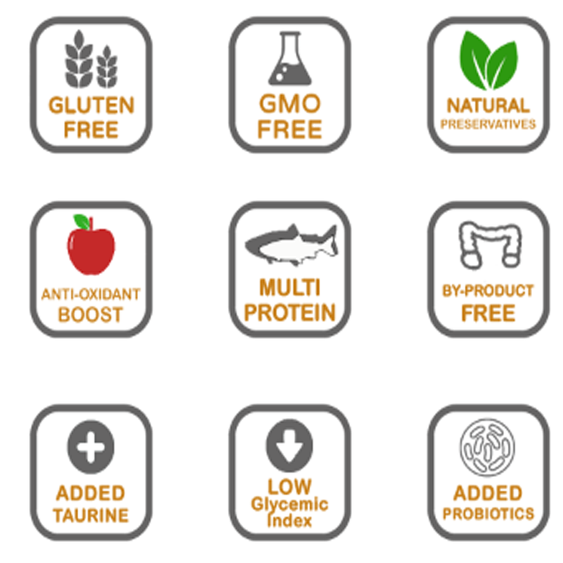 Load image into Gallery viewer, Legacy Grain Free Dog Food - Salmon