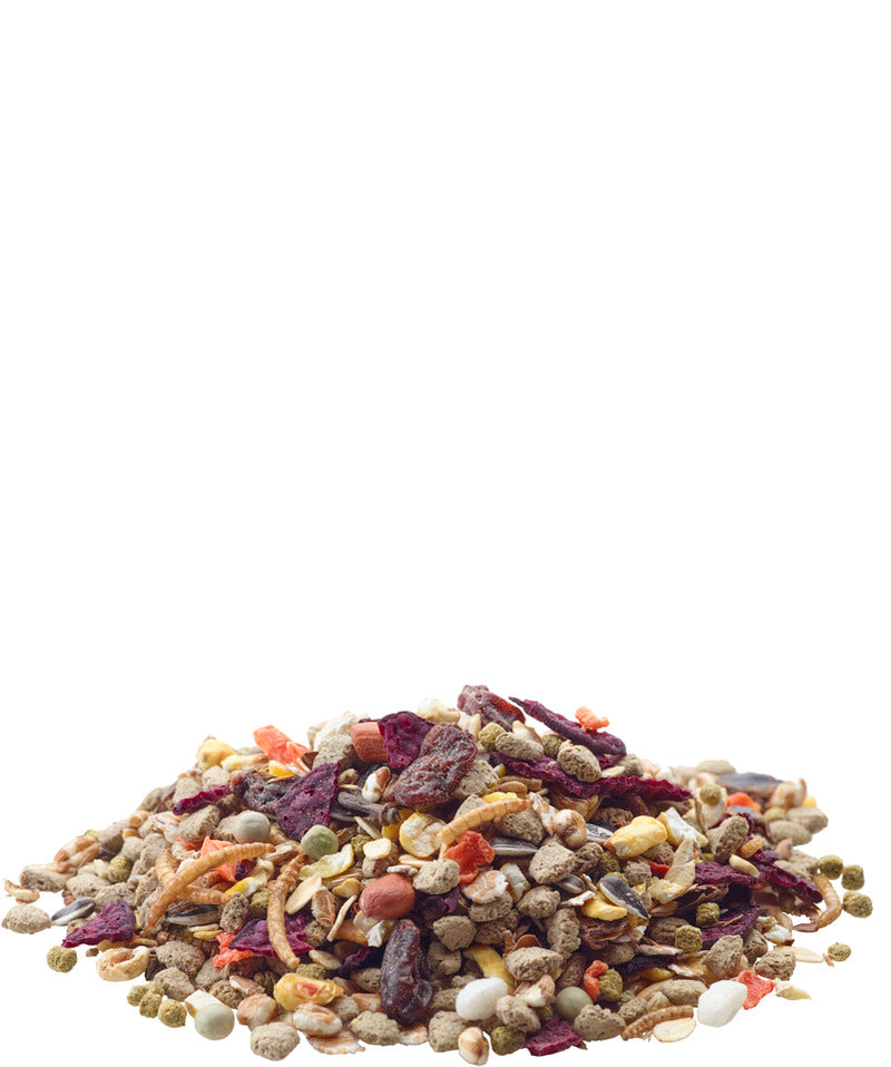 Load image into Gallery viewer, Versele-Laga Nature Mouse Food 400 g - Exotic Wings and Pet Things