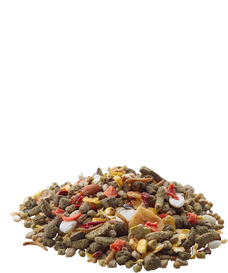 Load image into Gallery viewer, Versele-Laga Nature Gerbil Food 700 g - Exotic Wings and Pet Things