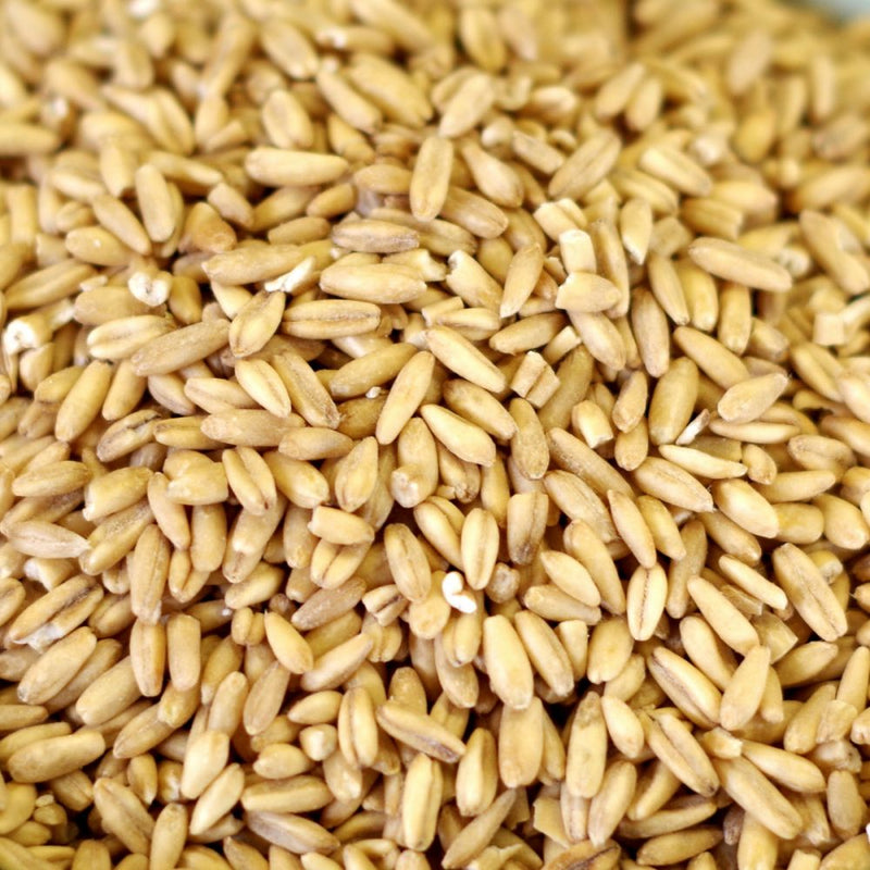 Load image into Gallery viewer, Oat Groats by Conestogo Bird Seed Company - Exotic Wings and Pet Things