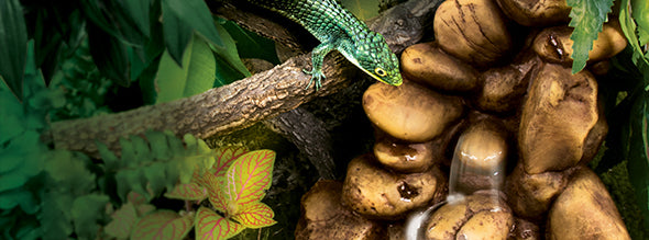 Load image into Gallery viewer, Exo Terra Reptile Pebble Waterfalls w/ Pump