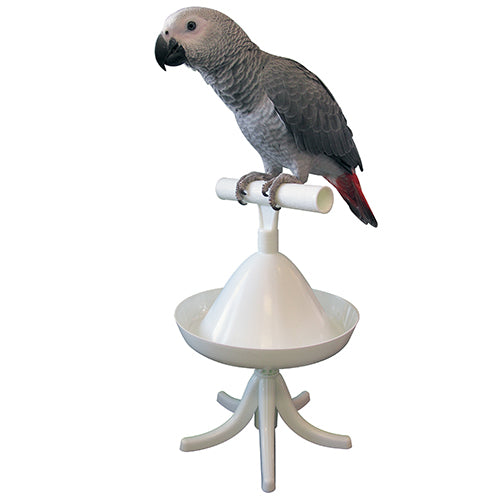 Load image into Gallery viewer, Caitec Percher For Birds - Exotic Wings and Pet Things