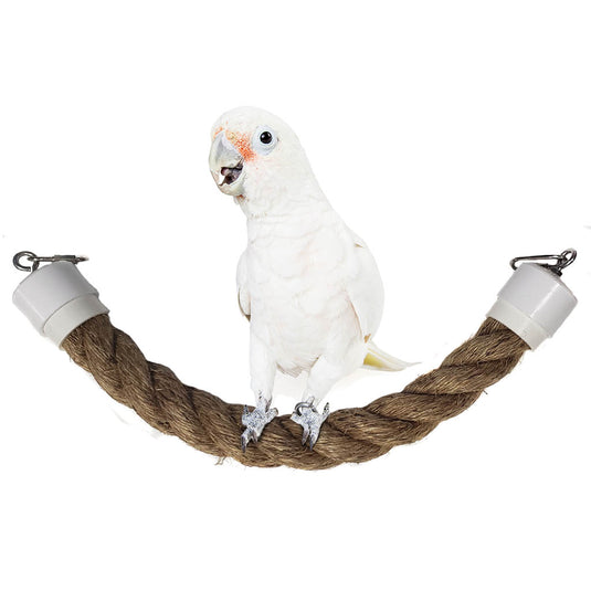 Mega Coco Rope Parrot Perch Swing 🍁