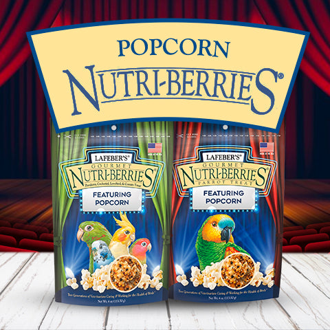 Load image into Gallery viewer, Lafeber's Popcorn Nutri-Berries - Parrot