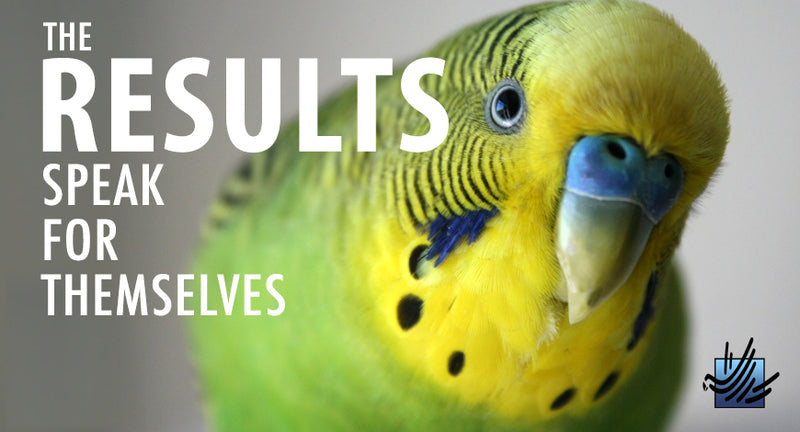 Load image into Gallery viewer, Harrison's Power Treats for Parrots/Parakeets