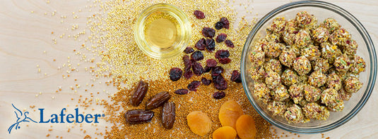 Lafeber's Sunny Orchard Gourmet Nutri-Berries for Parrots - Exotic Wings and Pet Things