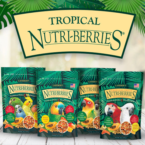 Load image into Gallery viewer, Lafeber's Tropical Fruit Gourmet Nutri-Berries Parrot