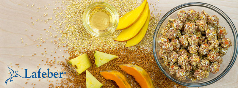 Load image into Gallery viewer, Lafeber's Tropical Fruit Gourmet Nutri-Berries Conure