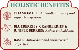 Load image into Gallery viewer, Higgins Mayan Harvest Tikal Seed Mix - Exotic Wings and Pet Things