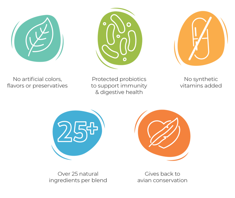 Load image into Gallery viewer, Goldenfeast South American Blend