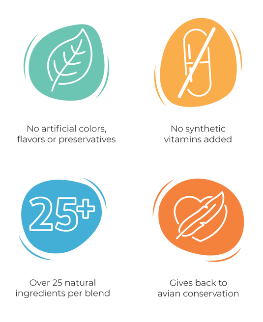 Goldenfeast Bonita Nut