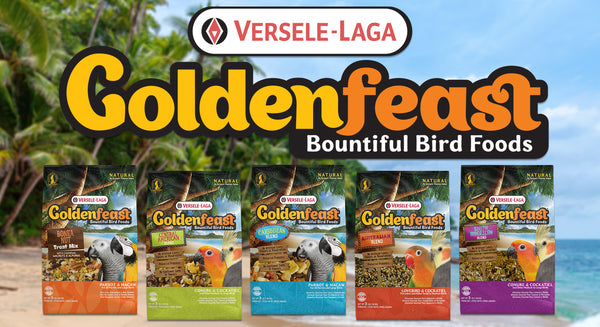 New Goldenfeast Packaging Plus New Mixes