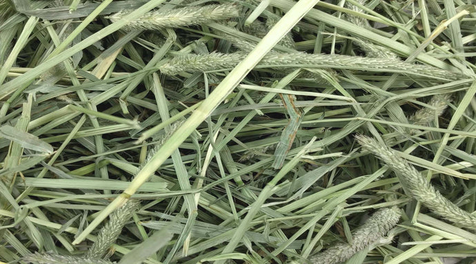 Hay Cuttings – Fact VS. Fiction