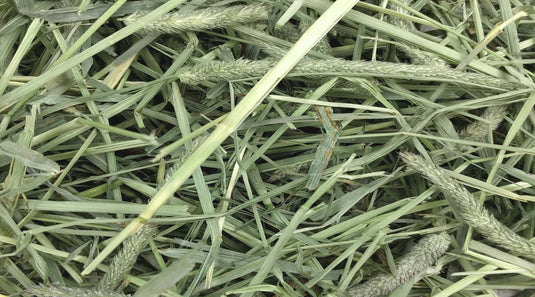 Hay Cuttings – Fact VS. Fiction