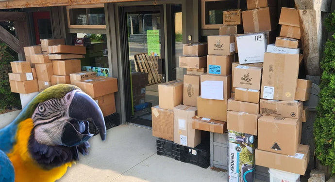 What Goes Into An Exotic Wings Sale - Thank You For A Fantastic Customer Appreciation Sale 2025