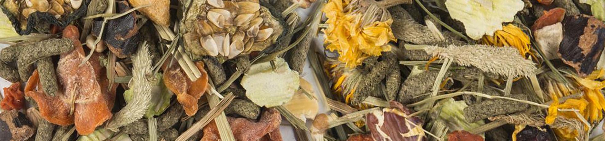 Small Animal Enrichment Diets with Seeds, Fruits, Nuts, and more ...