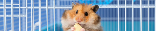 Shop By Pet - Hamster