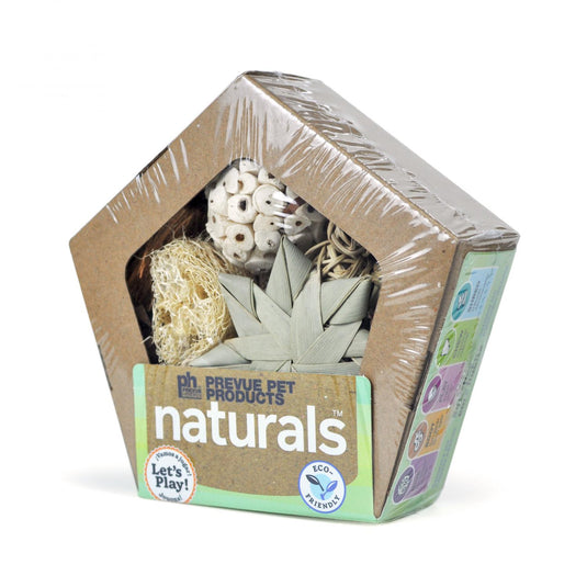 Prevue Hendryx Naturals Pentagon Forage n' Play Box - Small