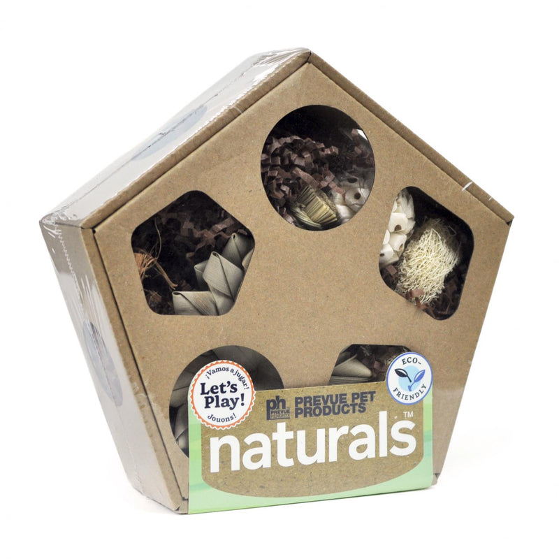 Prevue Hendryx Naturals Pentagon Forage n' Play Box - Large
