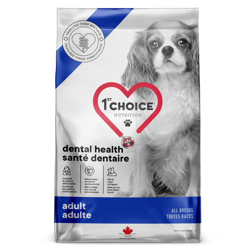 1st Choice Dental Health Adult Dog Food - Chicken Sample 🍁