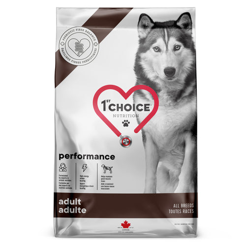 1st Choice Performance All Breed Adult Dog Food Chicken Formula 12 kg 🍁
