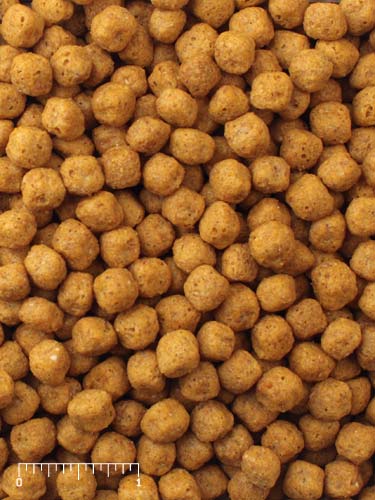 Mazuri Parrot Breeder Diet - 25 lbs