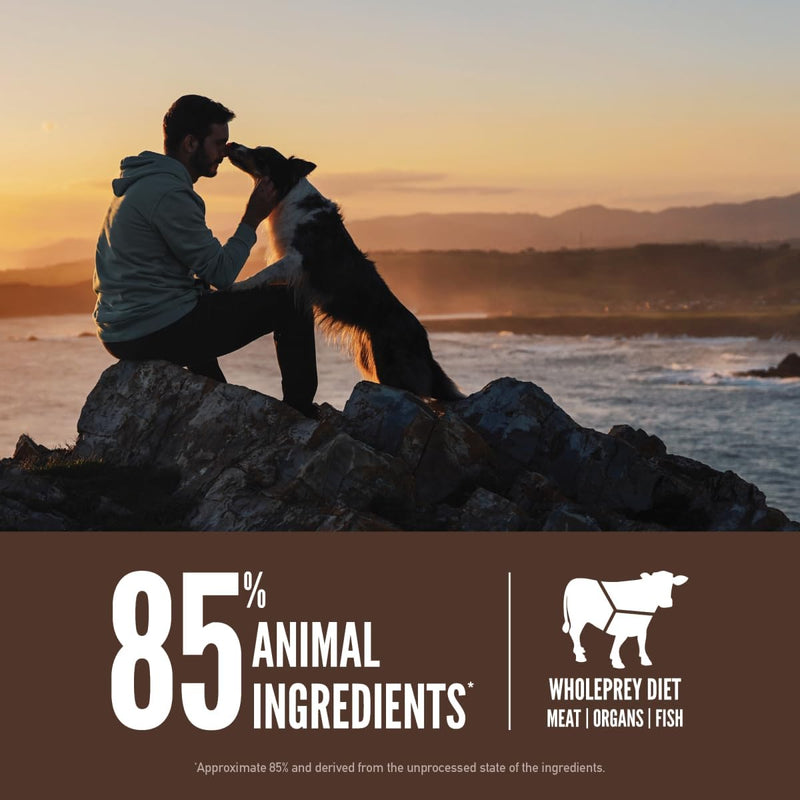Orijen Regional Red Grain Free Dog Food 🍁
