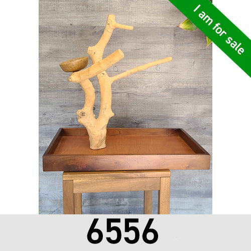 A&E Enrichment Java Wood Table Top Stand - In Stock
