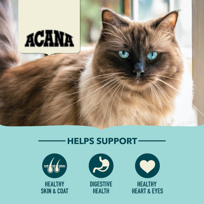 Acana Bountiful Catch Adult Maintenance Dry Cat Food 🍁
