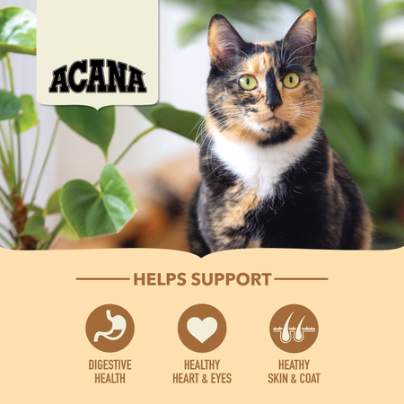 Acana Homestead Harvest Adult Maintenance Dry Cat Food 🍁
