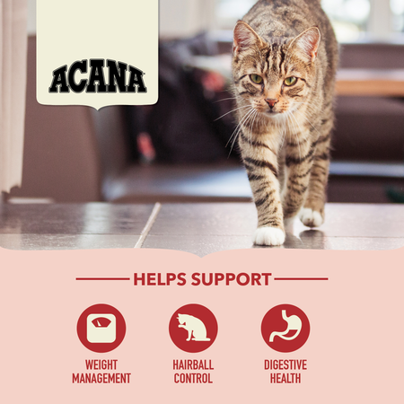 Acana Indoor Entree Adult Maintenance Cat Food 🍁
