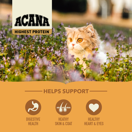 Acana REGIONALS Wild Prairie Grain Free Cat Food 🍁
