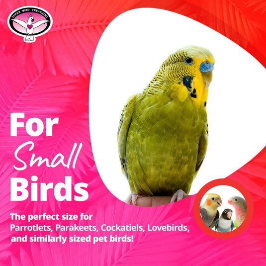 Super Bird Cotton Bungee Boing Perch n' Swing
