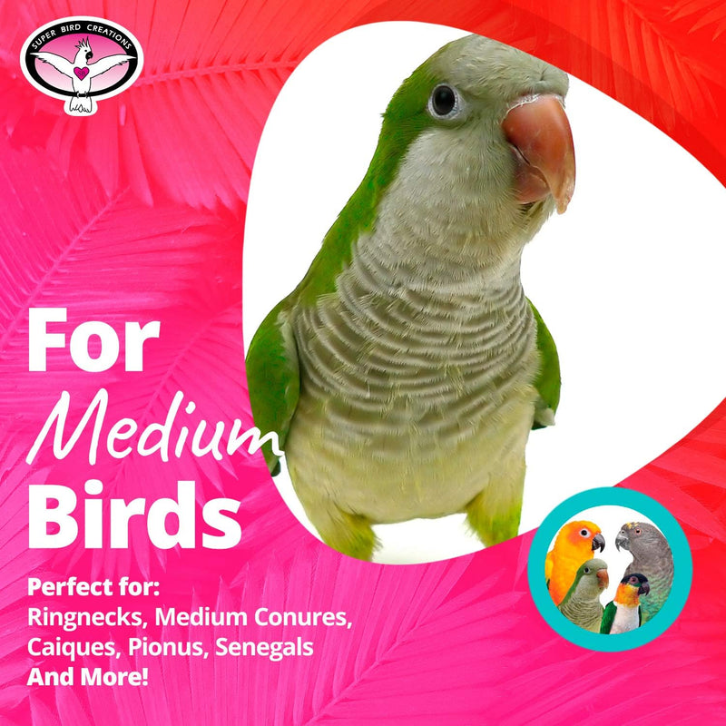 Wiggles & Wafers Small Parrot Enrichment Toy
