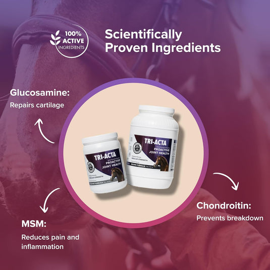 Tri-Acta Regular Strength Equine Mobility Support for Sport/Working & Retired Horses