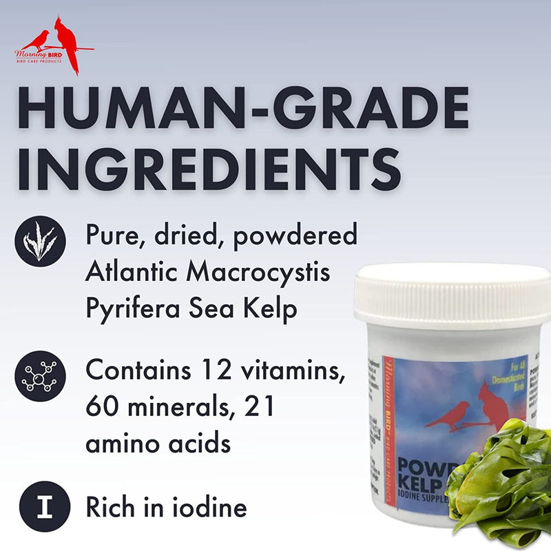 Powdered Kelp Iodine Supplement
