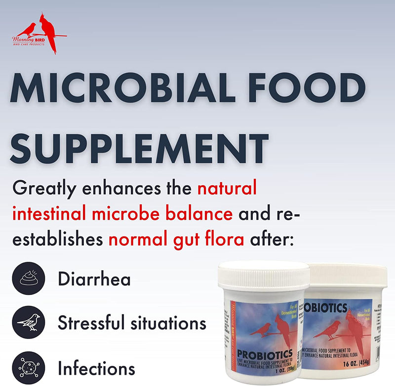 Morning Bird Probiotics Live Microbial Food Supplement - 1 oz | 3 oz
