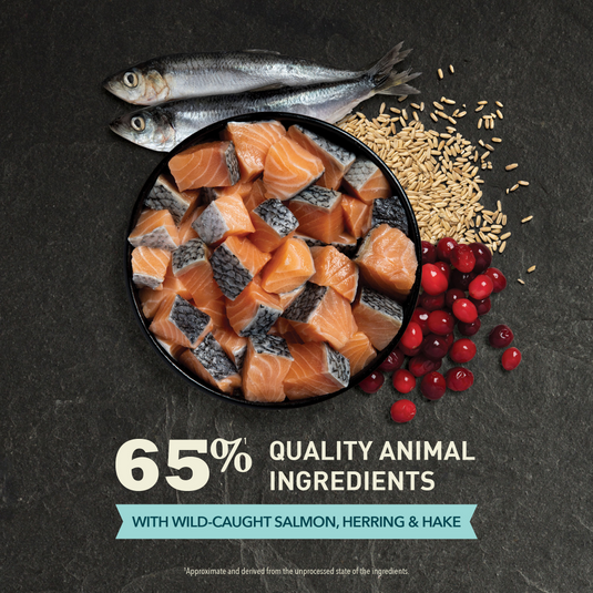 Acana Bountiful Catch Adult Maintenance Dry Cat Food 🍁